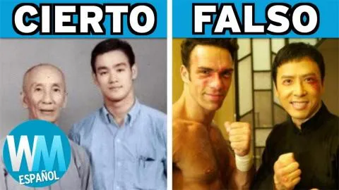 Top 10 Cosas CIERTAS y FALSAS En Las Películas de IP MAN