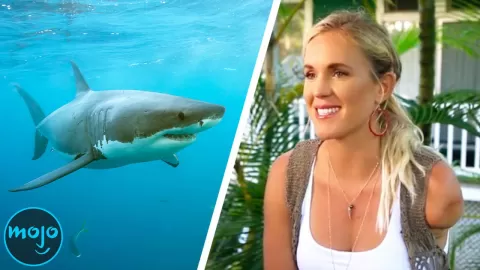 20 Most Horrific Real-Life Shark Attacks