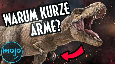 Auf TREX-Spurensuche