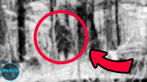 Top 10 Unbelievable Bigfoot Sightings Caught on Camera