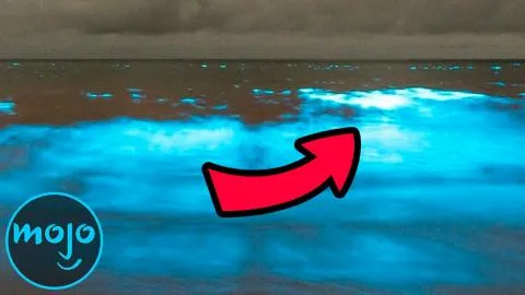 Top 10 Mysterious Ocean Secrets