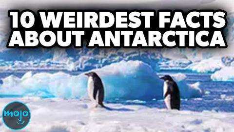 Top 10 Weirdest Antarctica Facts