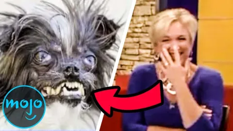 Top 10 Times News Anchors Couldn't Keep a Straight Face 