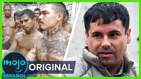 ¡10 Agrupaciones Criminales de Latinoamérica!