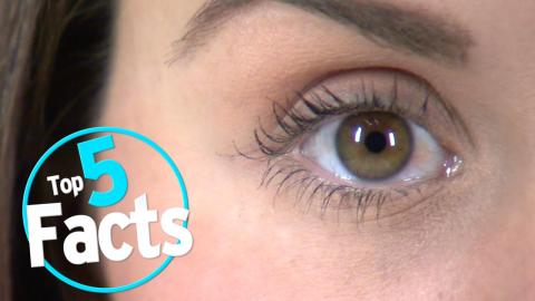 Top 5 Facts About Your Unreliable Eyeballs
