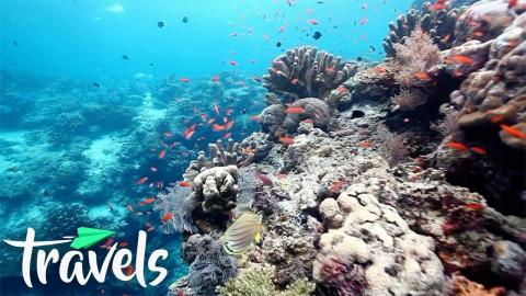 The Most Beautiful Scuba Diving Destinations Around the World
