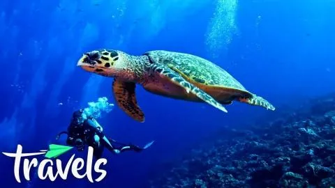 Top 10 Scuba Diving Destinations 