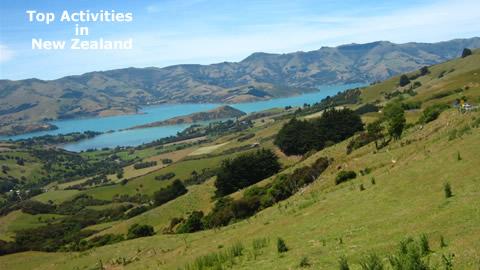 Top Activities in New Zealand