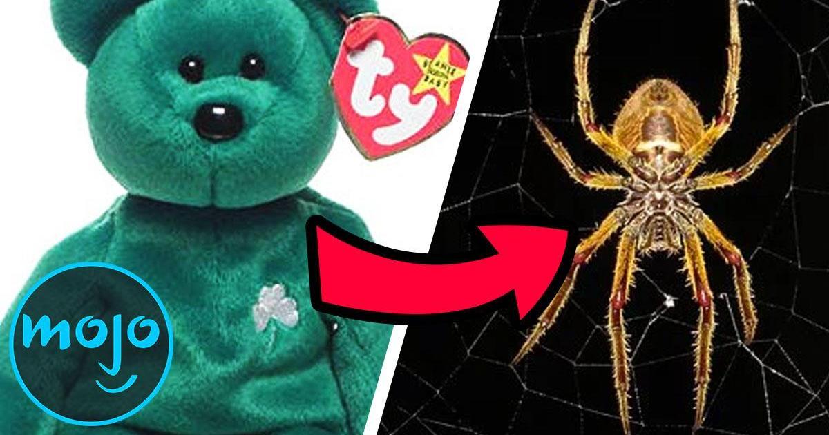 Beanie babies filled store with spider eggs