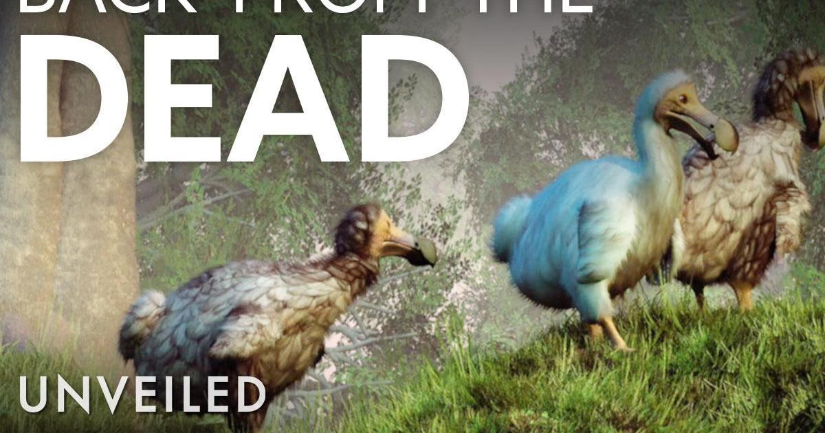 A de-extinction company is trying to resurrect the dodo