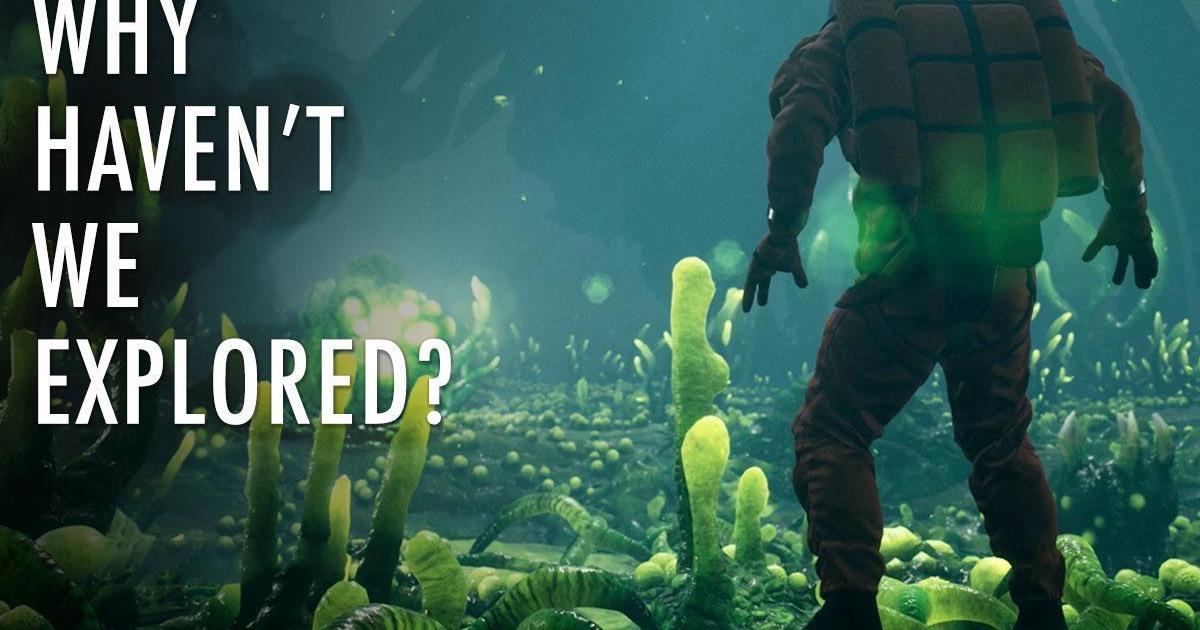 Squid games that are costing the planet - Greenpeace International