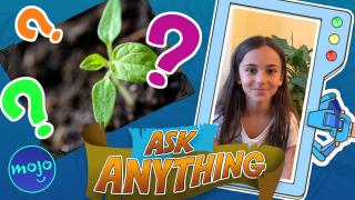 How Do Plants Grow?