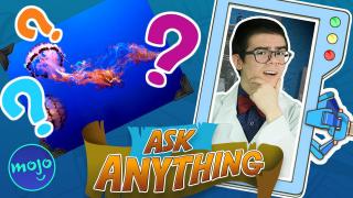 Which Animal Lives The Longest?