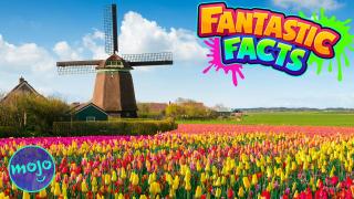 NETHERLANDS! — Fantastic Facts