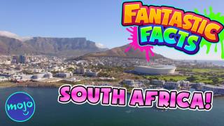 SOUTH AFRICA! - Mini Fantastic Facts