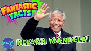 NELSON MANDELA - Mini Fantastic Facts