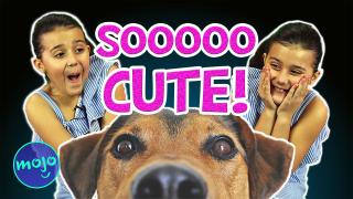 CUTE DOGS PICTURES with Oriana!