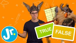 What do you know about VIKINGS? - TRUE or FALSE