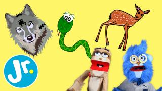 Play I SPY at the ZOO- UNCAGED with Joey & The Sloth