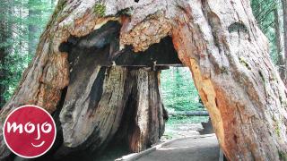 Top 20 Natural Wonders That Don