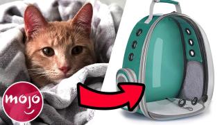 Top 10 Gifts Your Pet Will Actually Like