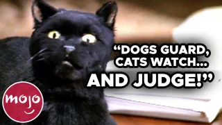 Top 10 Times Salem Was a Savage on Sabrina the Teenage Witch