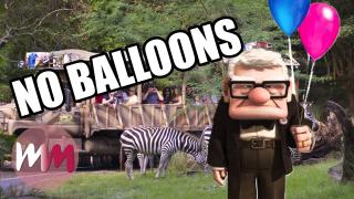 Top 5 Surprising Things Disney Parks Don't Allow