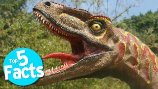 Top 5 Disgusting Dinosaur Facts