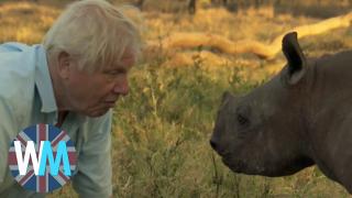 Top 10 David Attenborough Moments