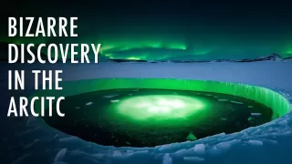 A Bizarre Discovery in the Arctic Circle