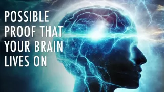 Did Scientists Just Discover That Your Brain LIVES After You Die? | Unveiled