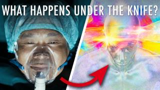 Do We Enter A Parallel Universe During Surgery?