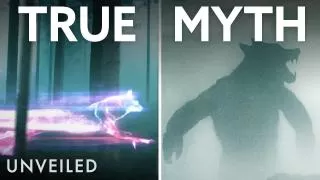 Creatures of Myth That Might Actually Exist | Unveiled