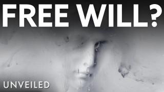 The Real Reason You Don't Have Free Will | Unveiled