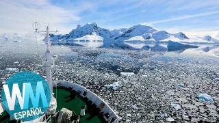 ¿Y si todo EL HIELO SE DERRITIERA en el MUNDO?