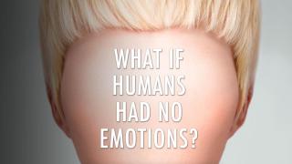 What If Humans Didn't Have Emotions? | Unveiled