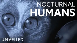 What If Humans Were Nocturnal Creatures? | Unveiled