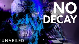 What If Nothing Decomposed? | Unveiled