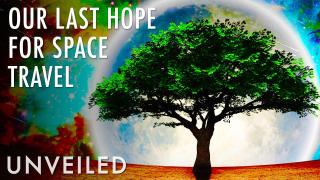 What If We Planted Dyson Trees? | Unveiled