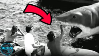 10 Surprising Facts About Jaws