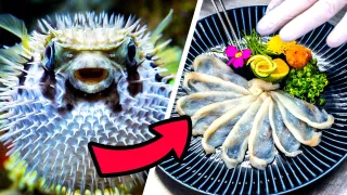 Top 10 Foods That Will KILL You If Cooked Wrong