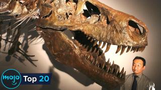 Top 20 Biggest Dinosaurs to Have Ever Existed on Earth 