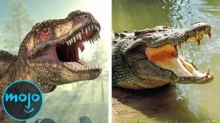 Top 10 Animals That Survived What Dinosaurs Couldn't