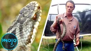 Top 10 Real Life Snake Attack Stories