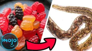 Top 10 Scariest Food Urban Legends