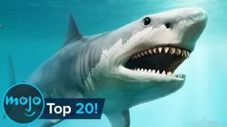 Top 20 Extinct Animals