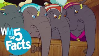 Top 5 Surprising Elephant Facts