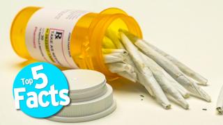 Top 5 Facts About Legalizing Drugs