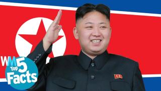 Top 5 DISTURBING Facts About North Korea