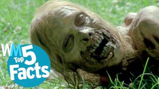 Top 5 Real-Life Zombie Facts